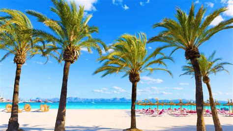 holiday hypermarket holidays|Package Holidays 2024/2025 .